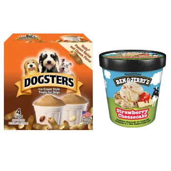 Ben & Jerry’s Strawberry Cheesecake / Dogsters Pet Ice Cream Bundle